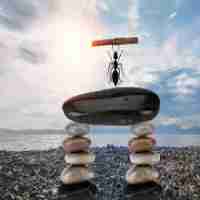 应﻿用​型‌高‍级﻿工‌程﻿技​术‍人﻿才​